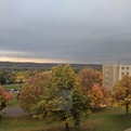 PXL_20211020_164855198.jpg