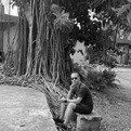 treesbw.jpg