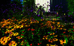 Photo gallery image named: chapelwblackeyedsusans.jpg