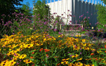 Photo gallery image named: chapel-w-black-eyed-susans.jpg