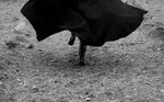 Photo gallery image named: images-2.jpeg