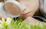 Photo gallery image named: nc03-1.png