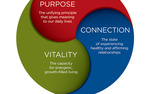 Photo gallery image named: wellbeing_3dimensionssmallc.jpg