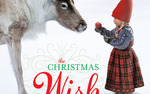 Photo gallery image named: tcw_cover__ornate-2.jpg