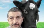 Photo gallery image named: un_cuento_chino-184802699-large.jpg