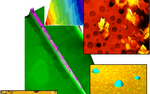 Photo gallery image named: picture1.png
