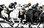 Photo gallery image named: gya-canterbury-email-banner.jpg