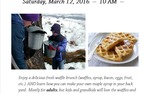 Photo gallery image named: maple-syrup.jpg