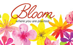 Photo gallery image named: bloomartwork.jpg