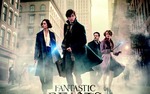 Photo gallery image named: fantastic.jpg