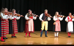 Photo gallery image named: swedish-folk-music.png