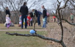 Photo gallery image named: dsc_0166-1.jpg