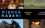 Photo gallery image named: copy-of-dizhsa-nabani_header_2.png