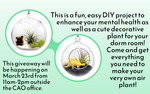 Photo gallery image named: airplants---post.jpg