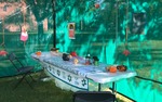Photo gallery image named: sukkah-from-inside.jpg