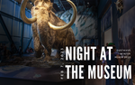 Photo gallery image named: night-at-the-museum-2023.png