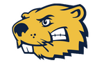 Photo gallery image named: bvu.png