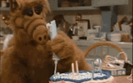 Photo gallery image named: alf-birthday-cake.gif