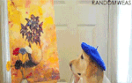 Photo gallery image named: gif.gif