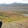 MeAlaska2009.jpg